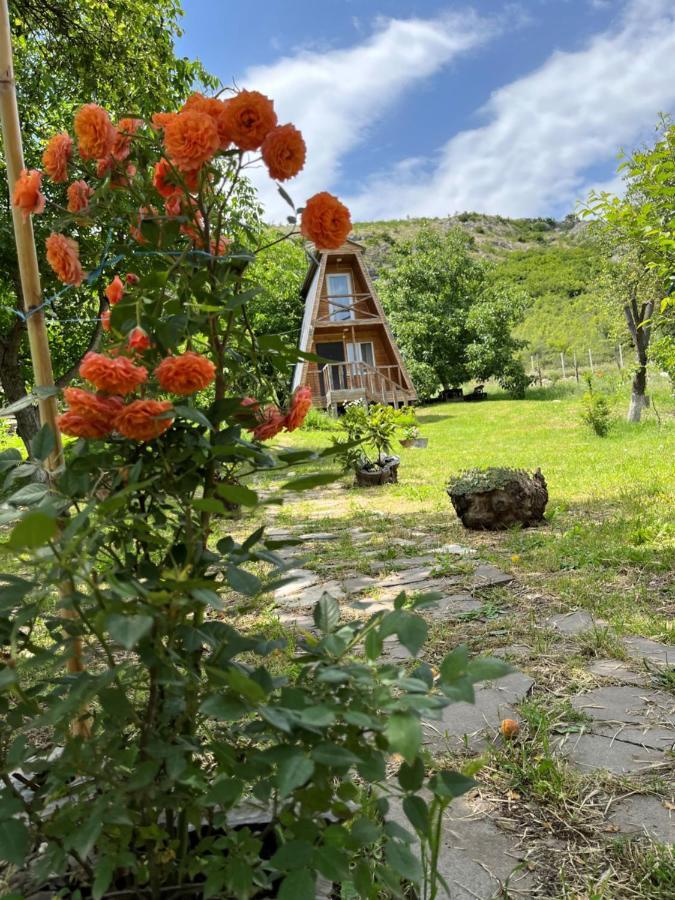 Teo'S Cottages Dedoplis Tskaro Zewnętrze zdjęcie