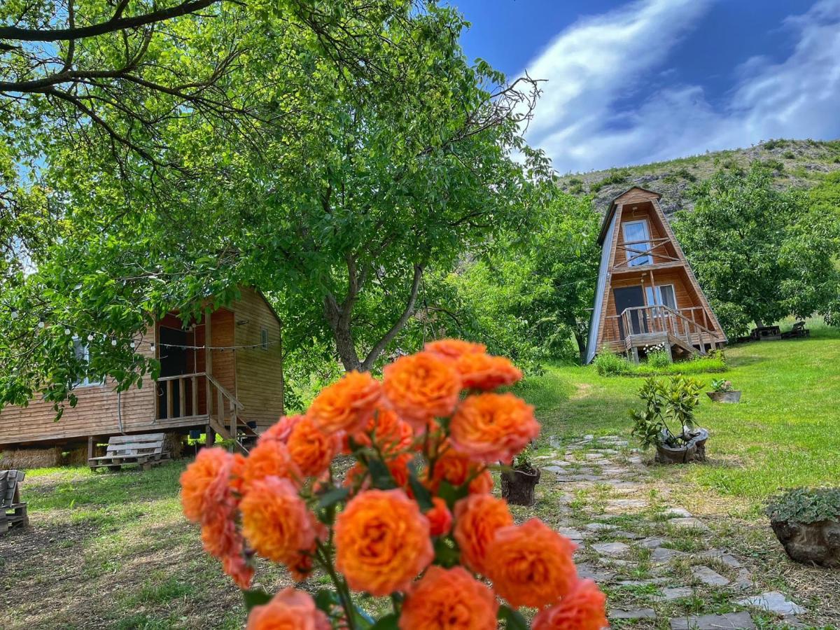 Teo'S Cottages Dedoplis Tskaro Zewnętrze zdjęcie