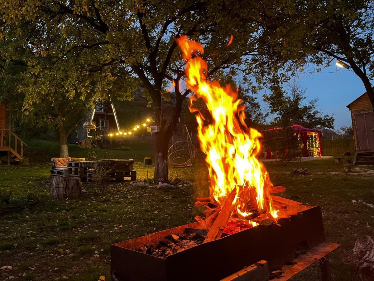 Teo'S Cottages Dedoplis Tskaro Zewnętrze zdjęcie