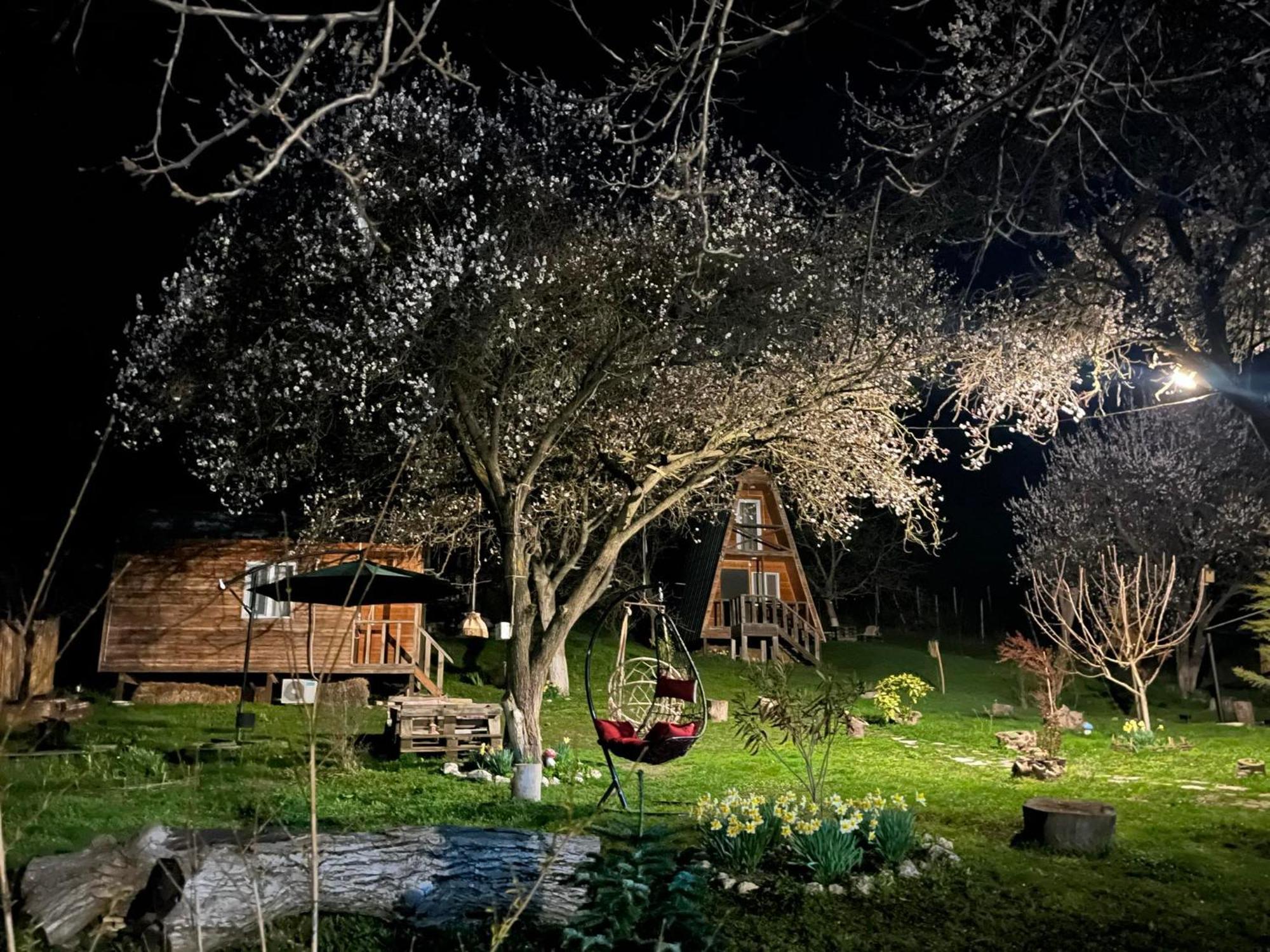 Teo'S Cottages Dedoplis Tskaro Zewnętrze zdjęcie