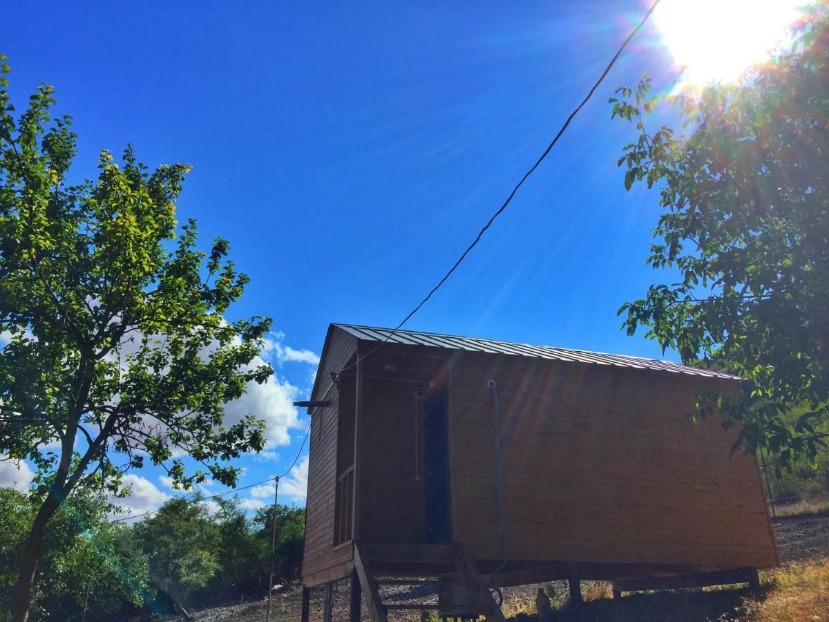 Teo'S Cottages Dedoplis Tskaro Zewnętrze zdjęcie